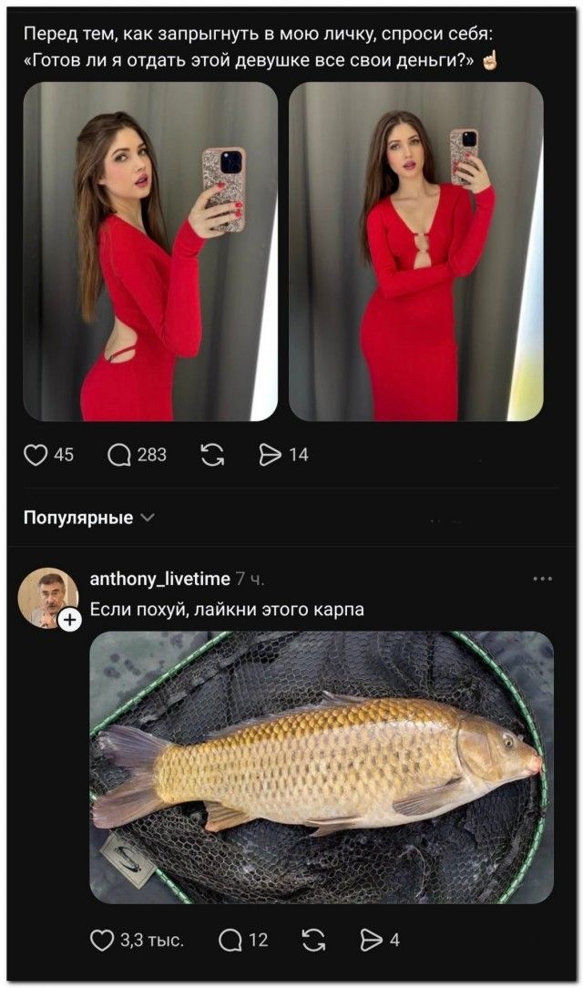 Перед тем, как запрыгнуть в мою личку, спроси себя: «Готов ли я отдать этой девушке все свои деньги?» Если похуй, лайкни этого карпа