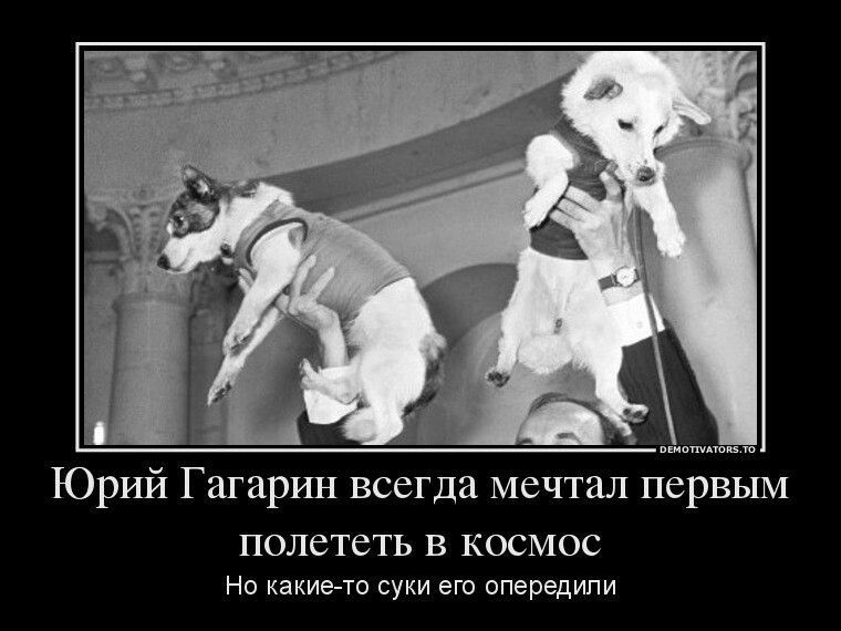 Юрий Гагарин всегда мечтал первым полететь в космос Но какие-то суки его опередили