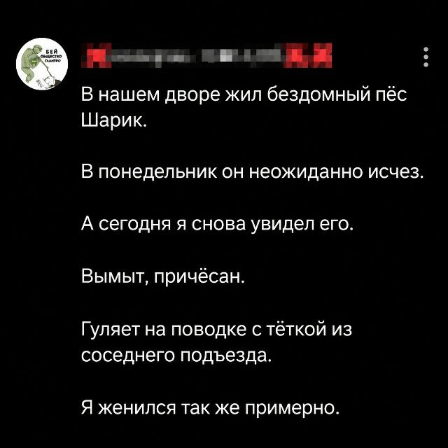 В нашем дворе жил бездомный пёс Шарик. В понедельник он неожиданно исчез. А сегодня я снова увидел его. Вымыт, причёсан. Гуляет на поводке с тёткой из соседнего подъезда. Я женился так же примерно.