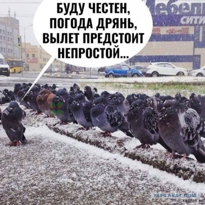БУДУ ЧЕСТЕН, ПОГОДА ДРЯНЬ, ВЫЛЕТ ПРЕДСТОИТ НЕПРОСТОЙ...