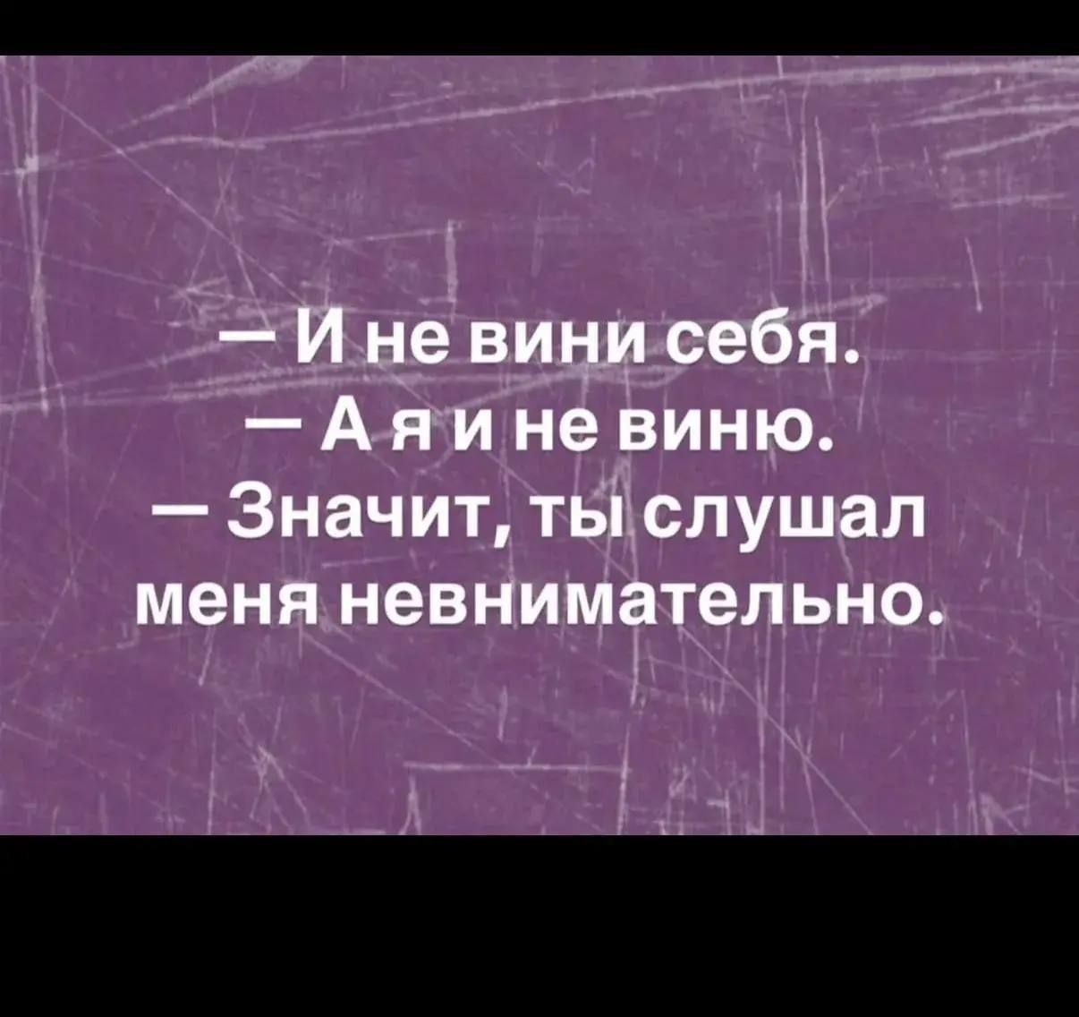 — И не вини себя.
— А я и не виню.
— Значит, ты слушал меня невнимательно.