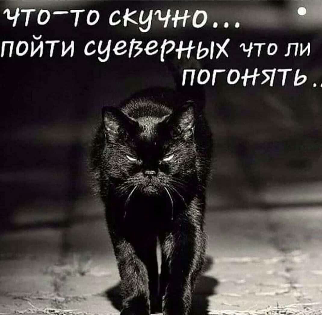 Что-то скучно... пойти суеверных что ли погонять..
