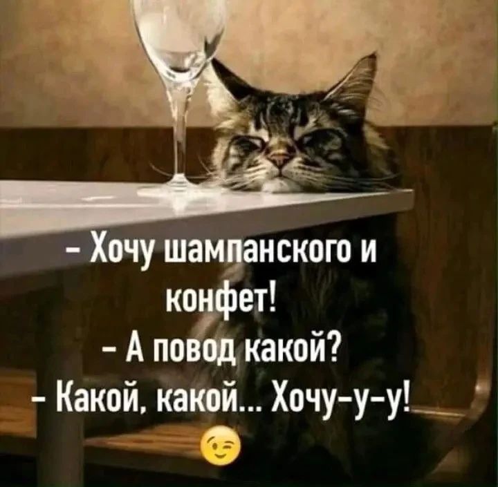 — Хочу шампанского и конфет! — А повод какой? — Какой, какой... Хочу-у-у!