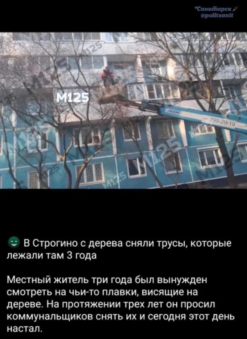 В Строгино с дерева сняли трусы, которые лежали там 3 года. Местный житель три года был вынужден смотреть на чьи-то плавки, висящие на дереве. На протяжении трех лет он просил коммунальщиков снять их и сегодня этот день настал.