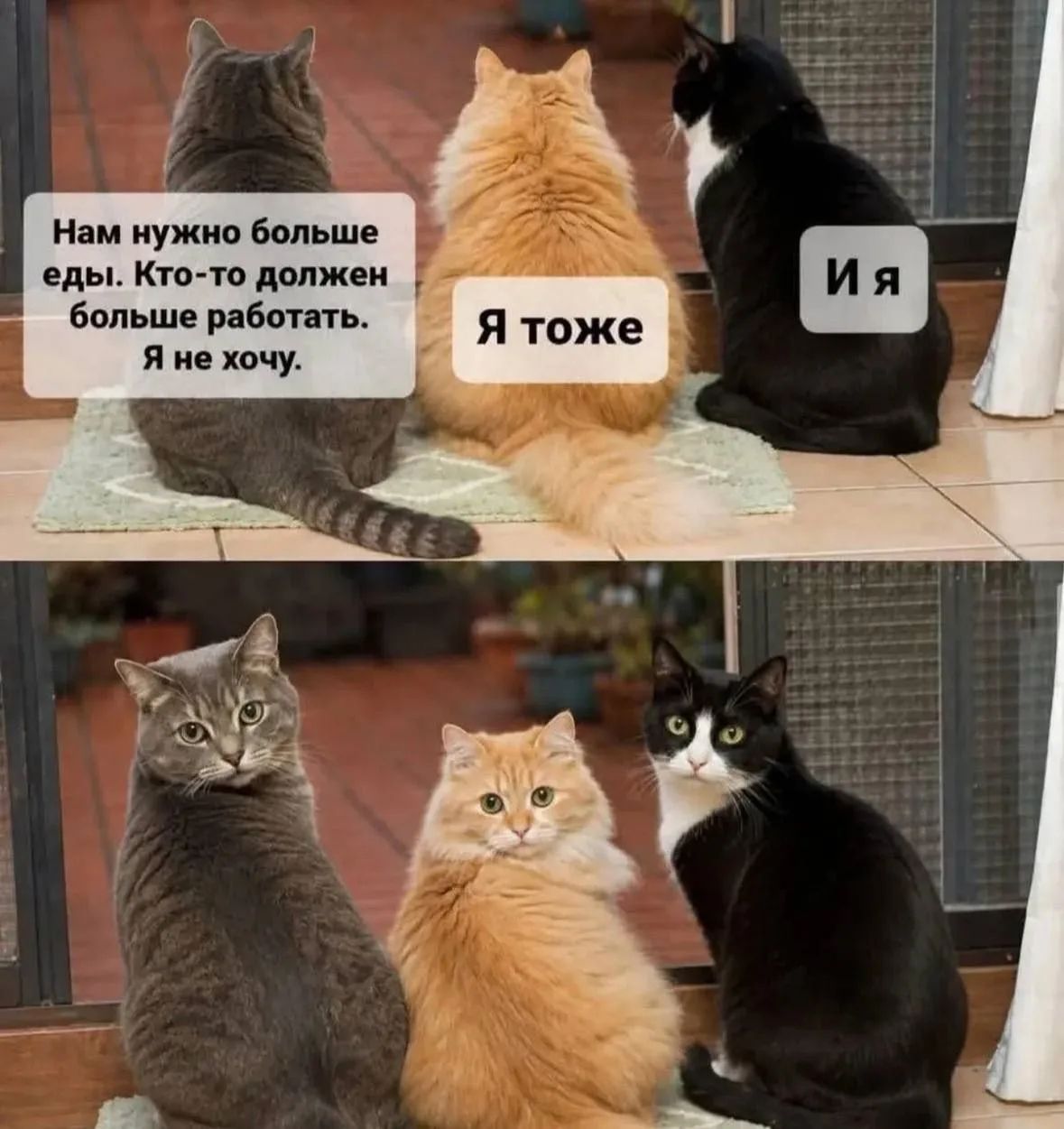 Нам нужно больше еды. Кто-то должен больше работать. Я не хочу. Я тоже И я