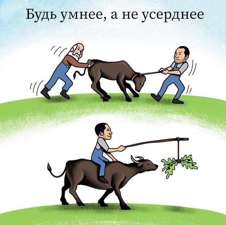 Будь умнее, а не усерднее. На картинке сверху два человека пытаются тянуть быка в разные стороны, прилагая много усилий. На картинке снизу один человек едет на быке, используя приманку из листьев, чтобы заставить его двигаться.