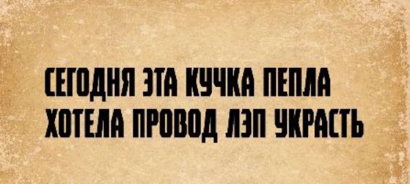 СЕГОДНЯ ЭТА КУЧКА ПЕПЛА ХОТЕЛА ПРОВОД ЛЭП УКРАСТЬ