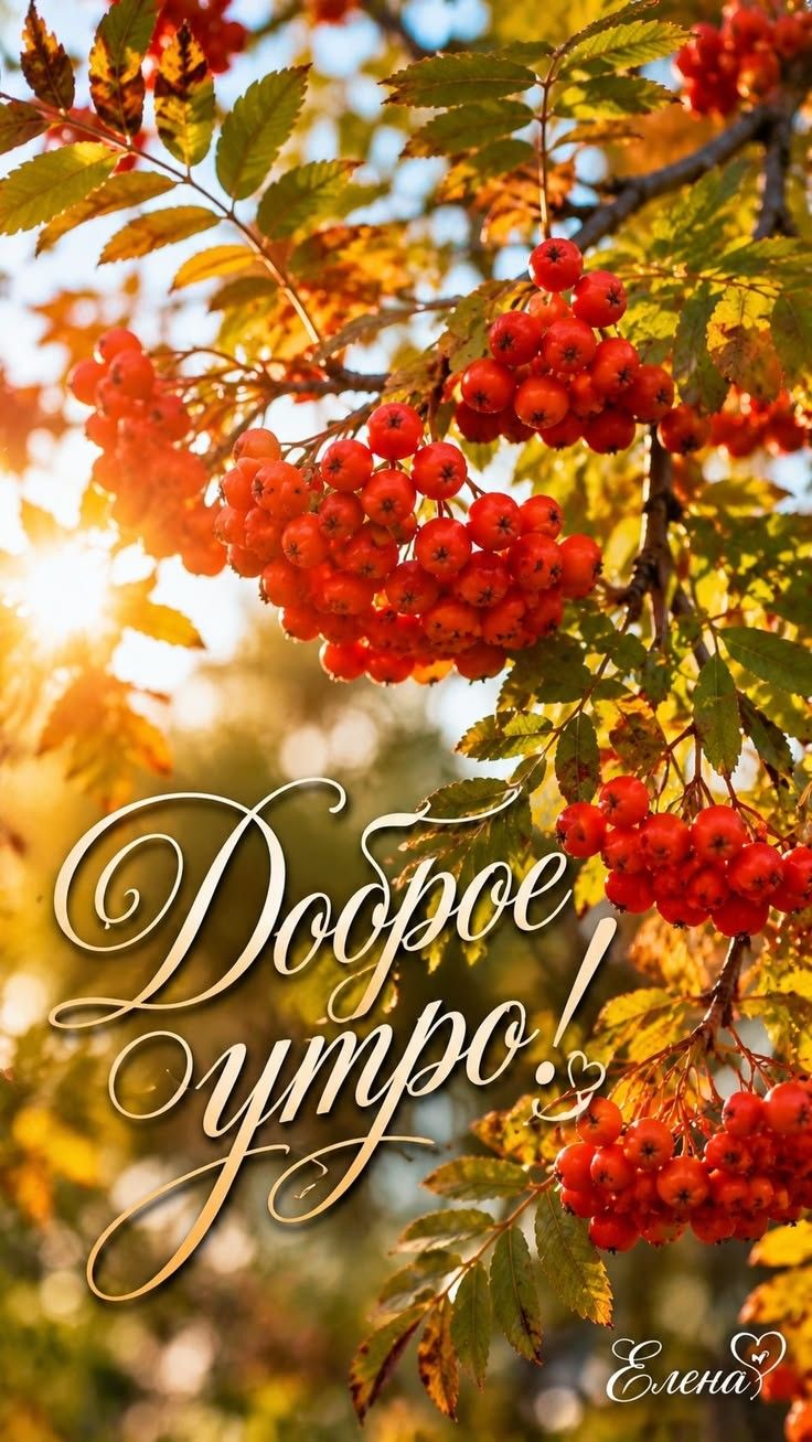 Доброе утро!