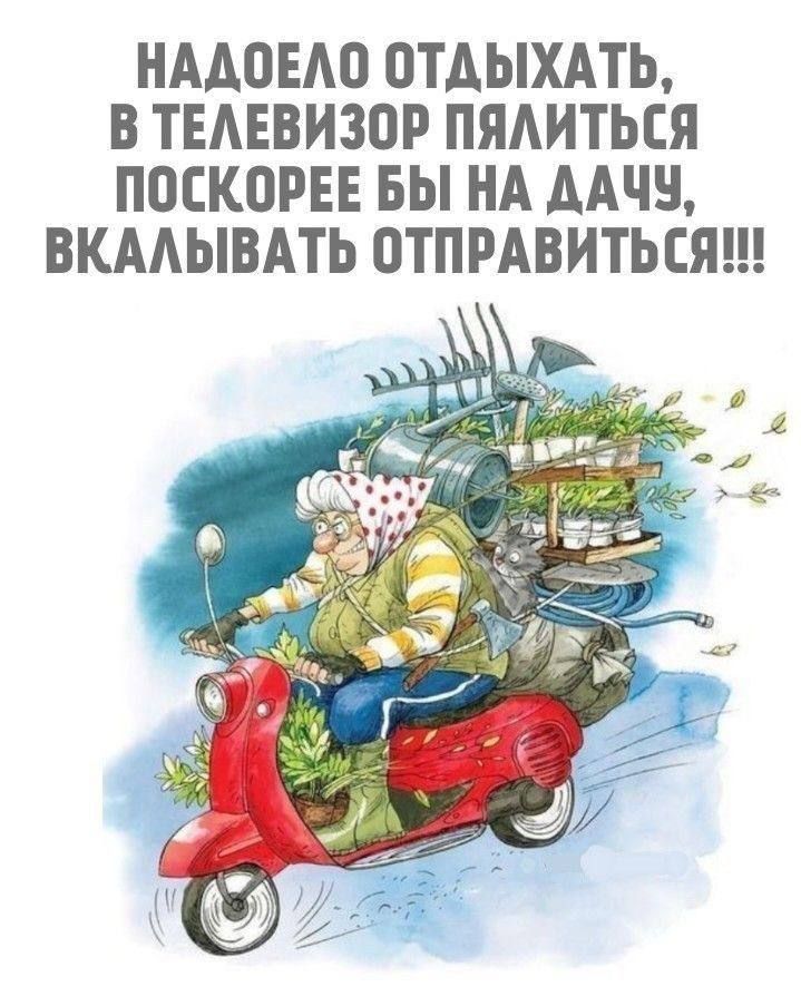 НАДОЕЛО ОТДЫХАТЬ, В ТЕЛЕВИЗОР ПЯЛИТЬСЯ ПОСКОРЕЕ БЫ НА ДАЧУ, ВКЛЫВАТЬ ОТПРАВИТЬСЯ!!!