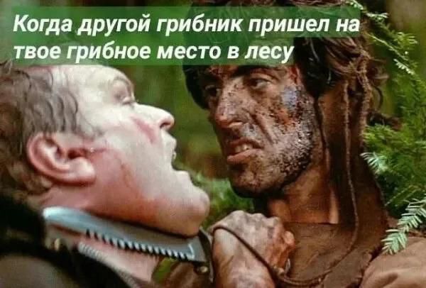 Когда другой грибник пришел на твое грибное место в лесу