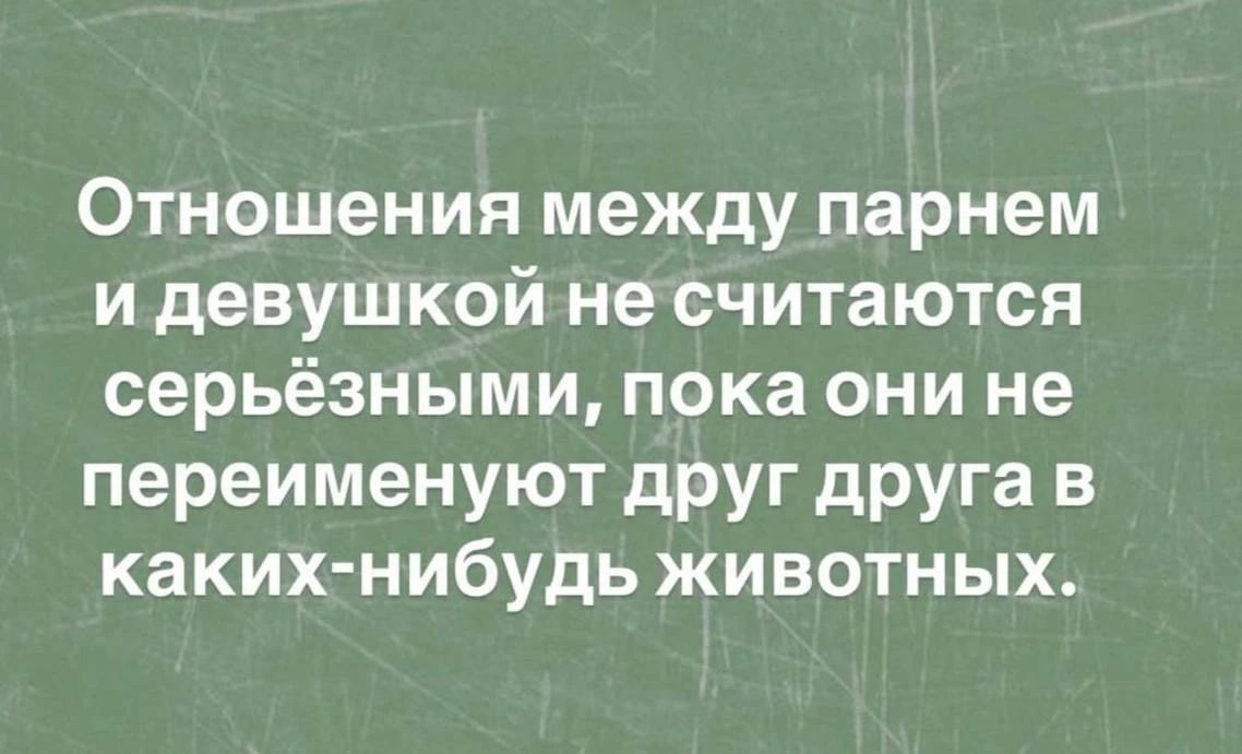 Отношения между парнем и девушкой не считаются серьёзными, пока они не переименуют друг друга в каких-нибудь животных.