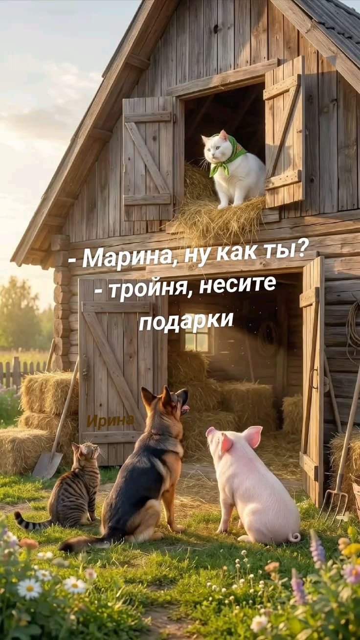 - Марина, ну как ты?
- тройня, несите подарки
Ирина