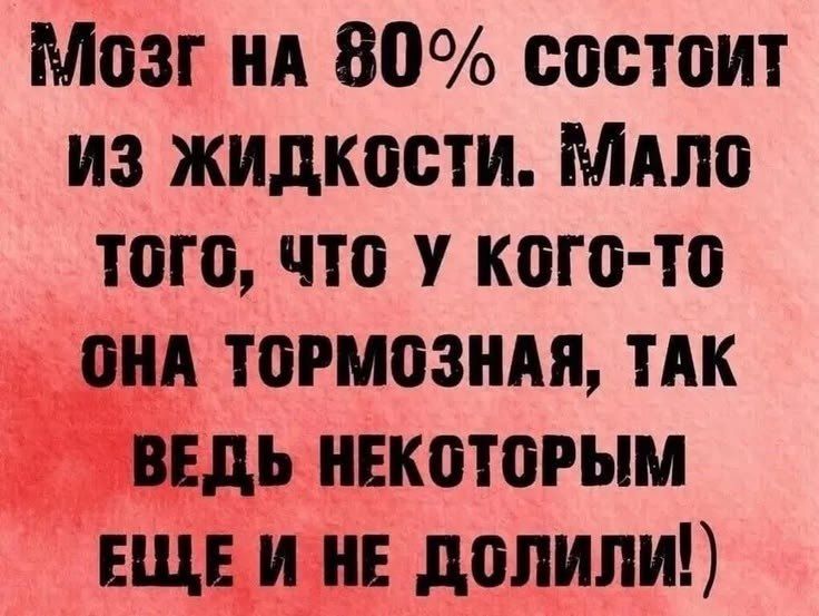 Мозг на 80% состоит из жидкости. Мало того, что у кого-то она тормозная, так ведь некоторым еще и не долили!