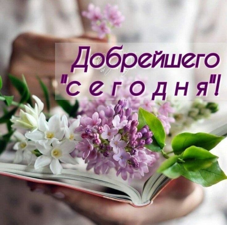 Добрейшего 