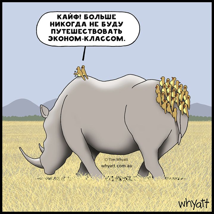 КАЙФ! БОЛЬШЕ НИКОГДА НЕ БУДУ ПУТЕШЕСТВОВАТЬ ЭКОНОМ-КЛАССОМ.