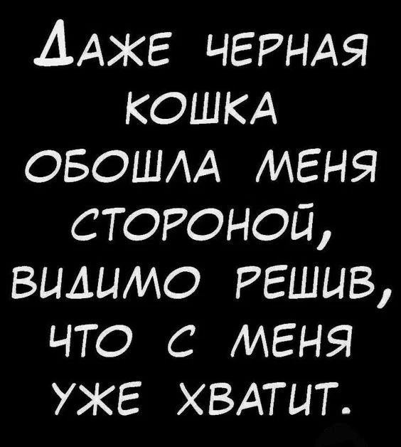 ДАЖЕ ЧЕРНАЯ КОШКА ОБОШЛА МЕНЯ СТОРОНОЙ, ВИДИМО РЕШИВ, ЧТО С МЕНЯ УЖЕ ХВАТИТ.