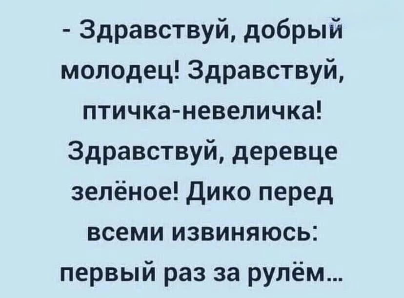 Здравствуй, добрый молодец! Здравствуй, птичка-невеличка! Здравствуй, деревце зелёное! Дико перед всеми извиняюсь: первый раз за рулём...