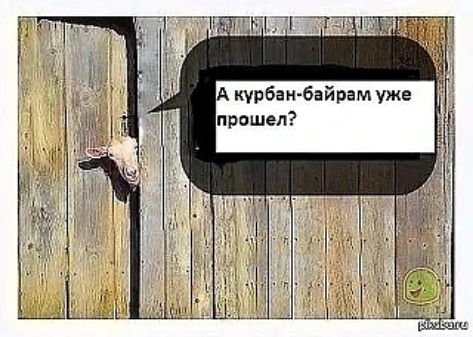 А курбан-байрам уже прошел?