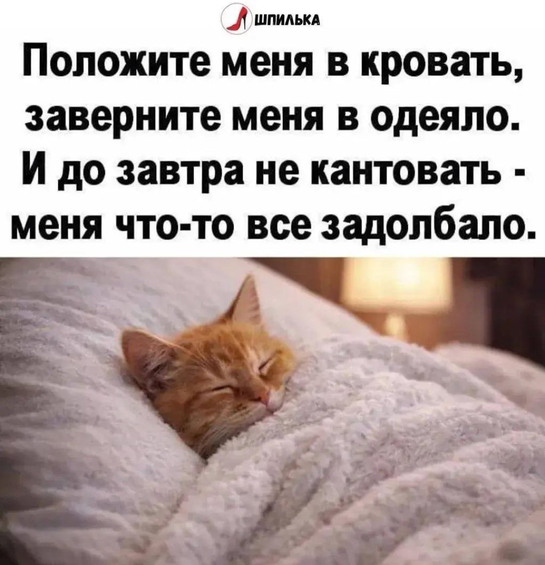 Положите меня в кровать, заверните меня в одеяло. И до завтра не кантовать - меня что-то все задолбало.