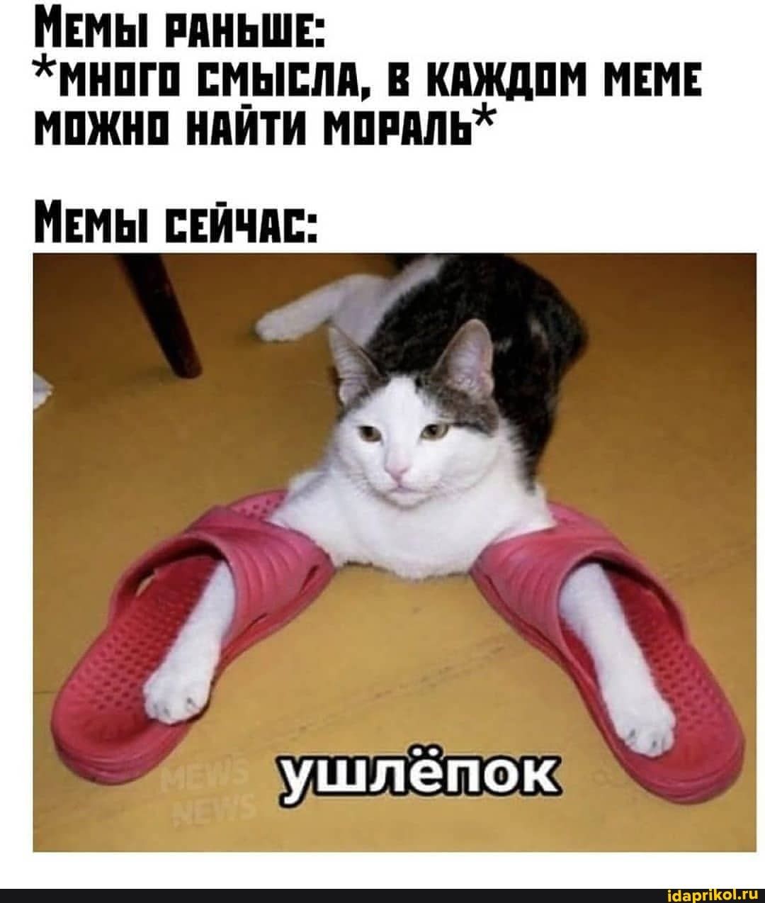 МЕМЫ РАНЬШЕ: *МНОГО СМЫСЛА, В КАЖДОМ МЕМЕ МОЖНО НАЙТИ МОРАЛЬ* МЕМЫ СЕЙЧАС: ушлёпок