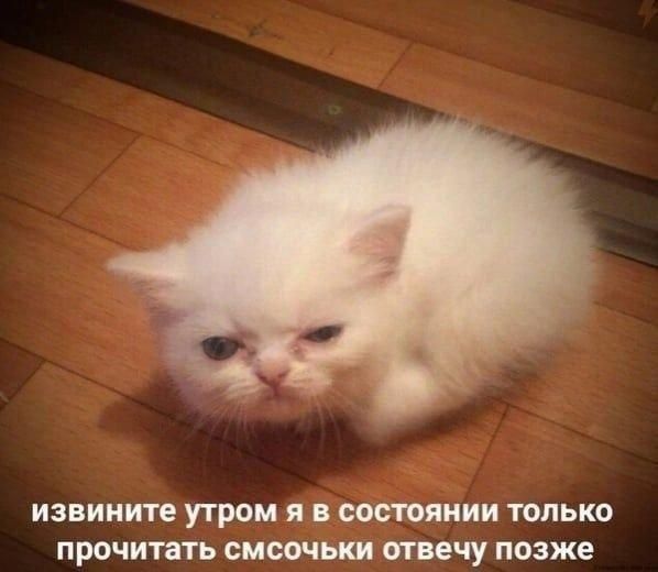 извините утром я в состоянии только прочитать смсочки отвечу позже