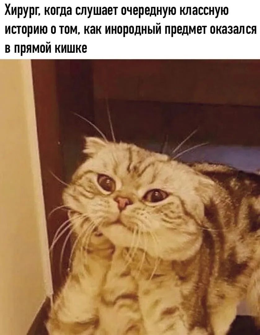 Хирург, когда слушает очередную классную историю о том, как инородный предмет оказался в прямой кишке