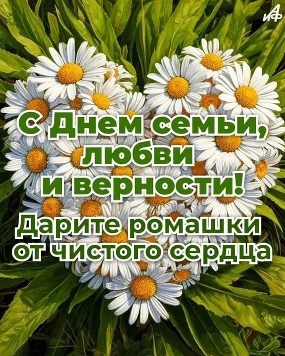 С Днем семьи, любви и верности! Дарите ромашки от чистого сердца
