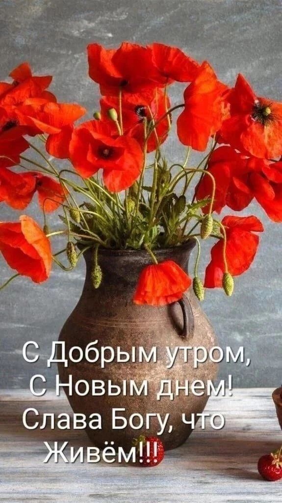 С добрым утром, С Новым днем! Слава Богу, что Живём!!!