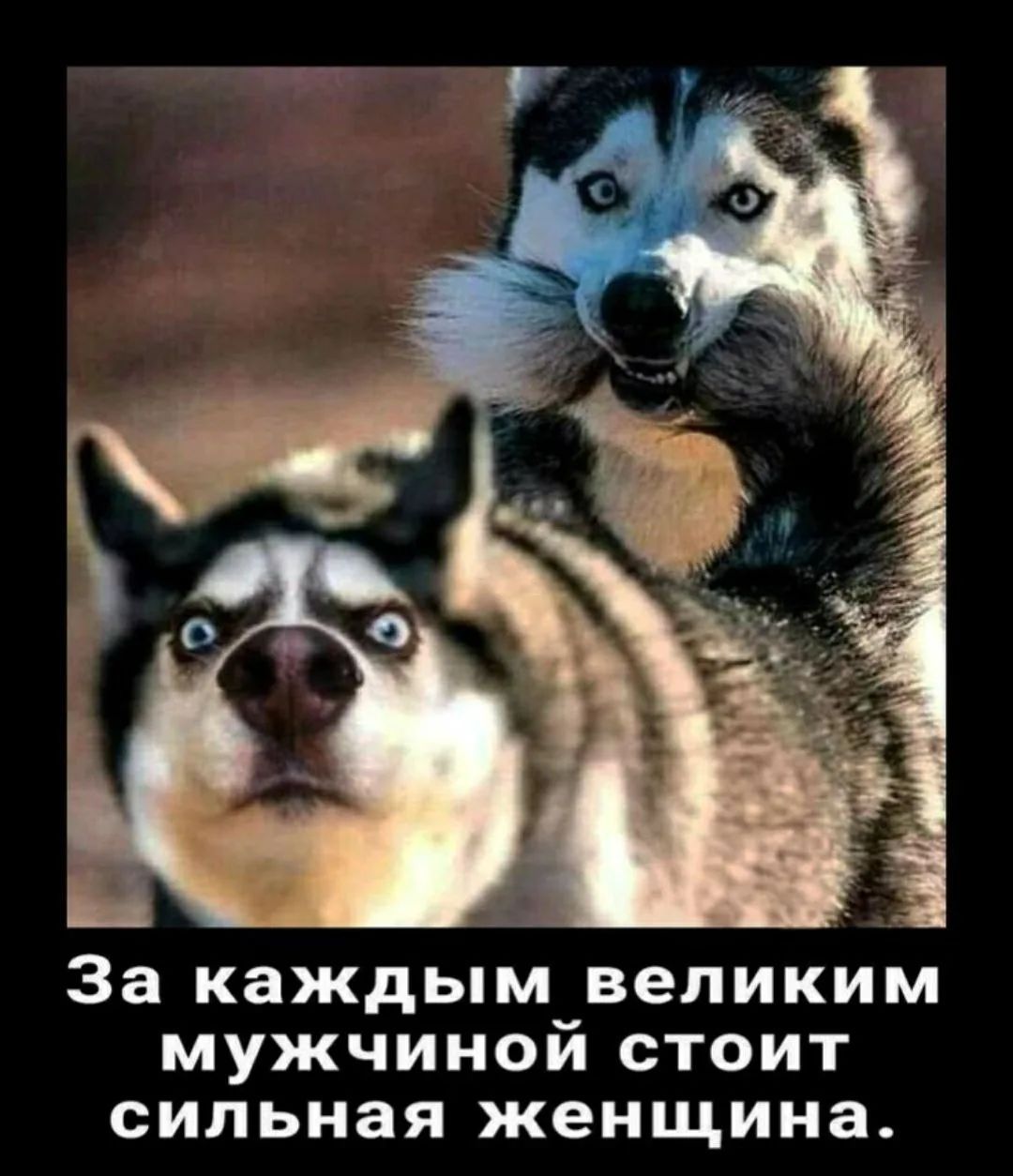 За каждым великим мужчиной стоит сильная женщина.