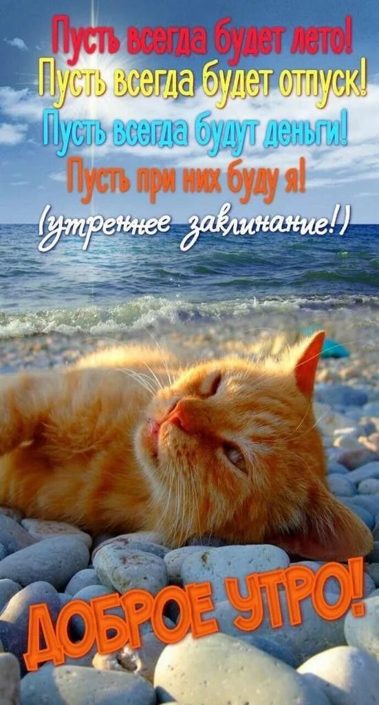 Пусть всегда будет лето! Пусть всегда будет отпуск! Пусть всегда будут деньги! Пусть при них буду я! (Утреннее заклинание!) СОБРОЕ УТРО!