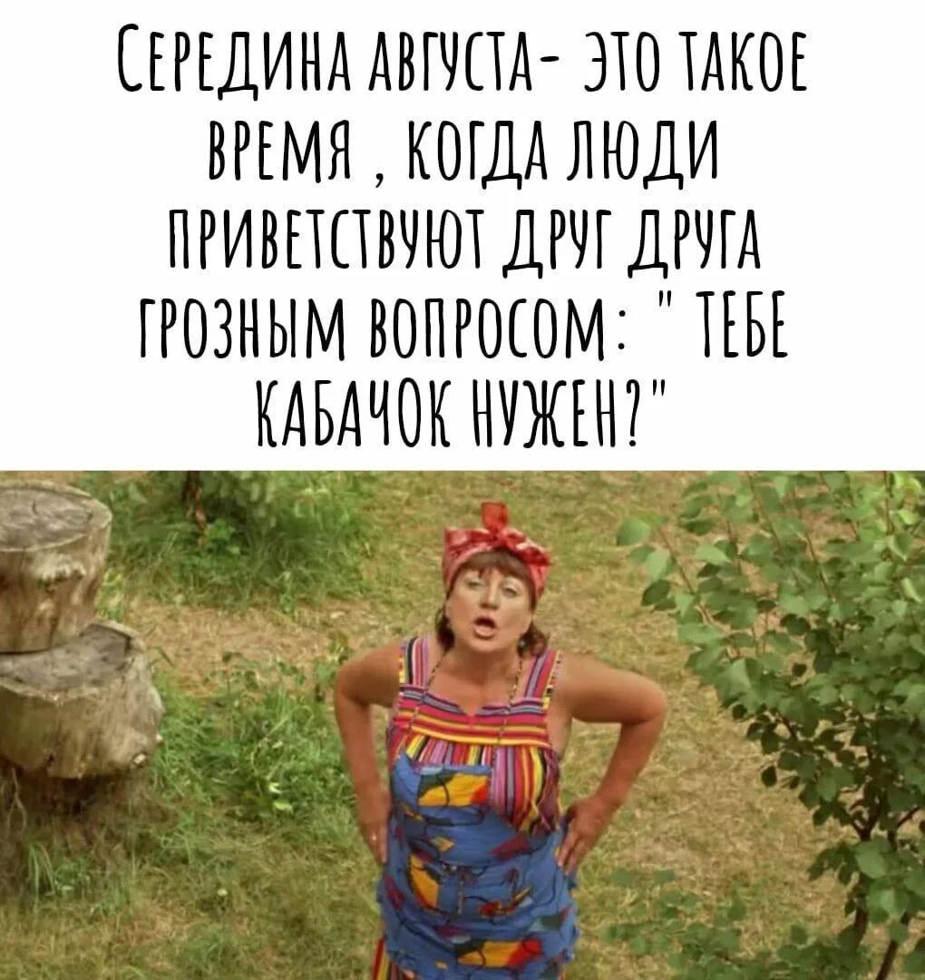 СЕРЕДИНА АВГУСТА - ЭТО ТАКОЕ ВРЕМЯ, КОГДА ЛЮДИ ПРИВЕТСТВУЮТ ДРУГ ДРУГА ГРОЗНЫМ ВОПРОСОМ: 