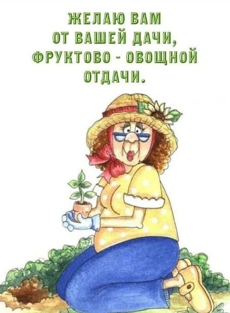 ЖЕЛАЮ ВАМ ОТ ВАШЕЙ ДАЧИ, ФРУКТОВО - ОВОЩНОЙ ОТДАЧИ.