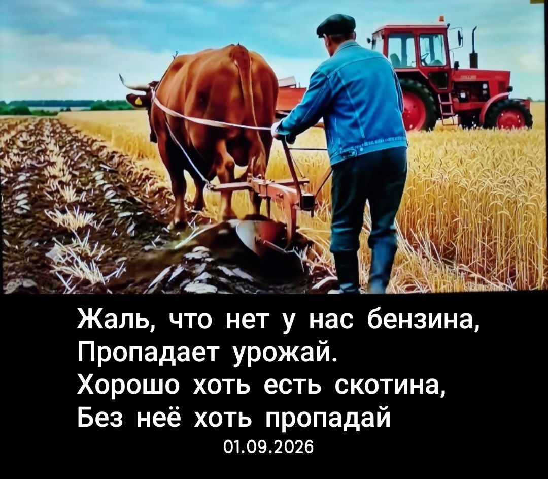 Жаль, что нет у нас бензина, Пропадает урожай. Хорошо хоть есть скотина, Без неё хоть пропадай 01.09.2026