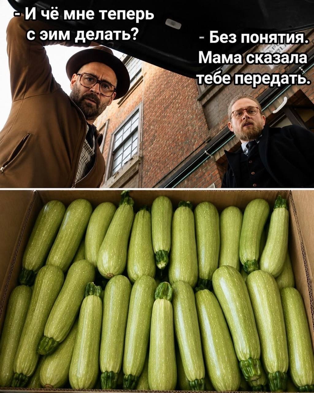 - И чё мне теперь с этим делать? - Без понятия. Мама сказала тебе передать.