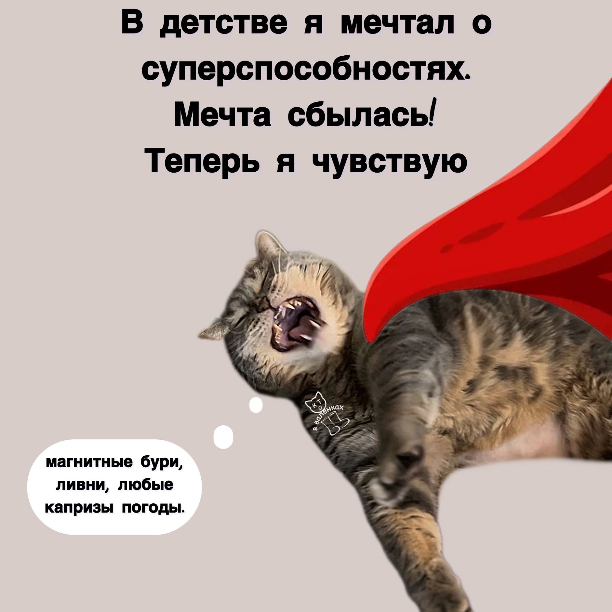 В детстве я мечтал о суперспособностях. Мечта сбылась! Теперь я чувствую магнитные бури, ливни, любые капризы погоды.