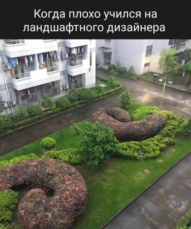 Когда плохо учился на ландшафтного дизайнера