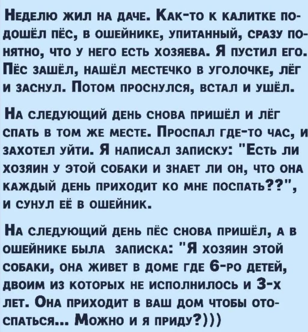 Неделю жил на даче. Как-то к калитке подошёл пёс, в ошейнике, упитанный, сразу понятно, что у него есть хозяева. Я пустил его. Пёс зашёл, нашёл местечко в уголочке, лёг и заснул. Потом проснулся, встал и ушёл. На следующий день снова пришёл и лёг спать в том же месте. Проспал где-то час, и захотел уйти. Я написал записку: 
