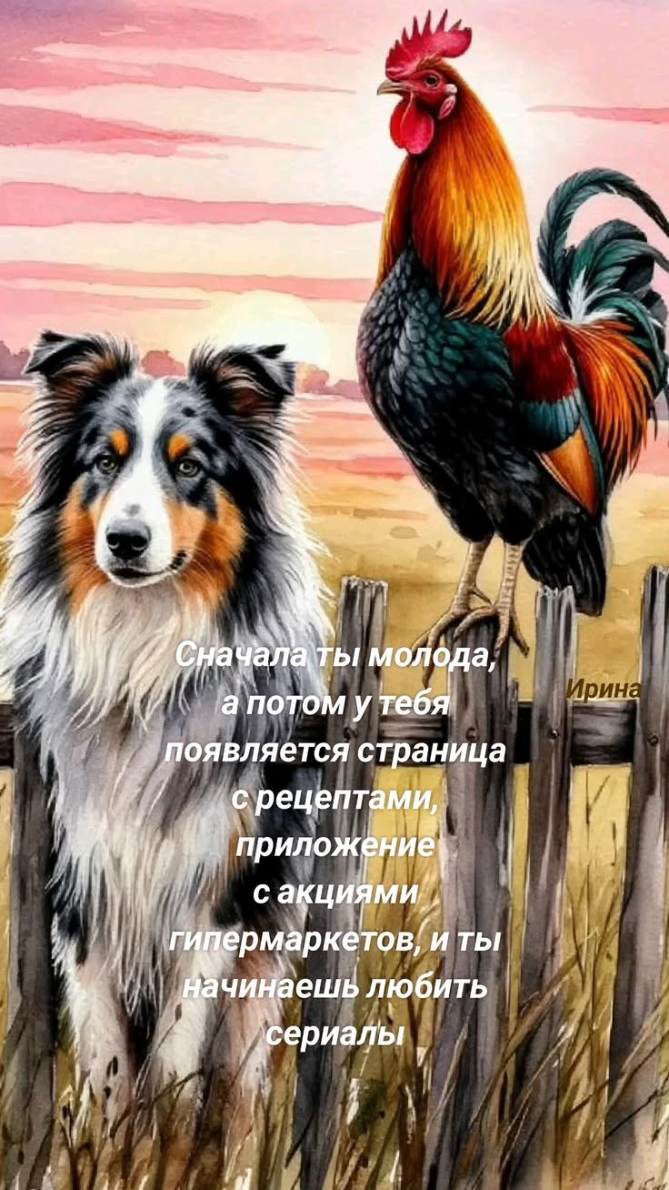 Сначала ты молода, а потом у тебя появляется страница с рецептами, приложение с акциями гипермаркетов, и ты начинаешь любить сериалы. Ирина