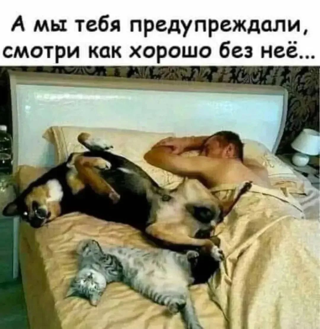 А мы тебя предупреждали, смотри как хорошо без неё...