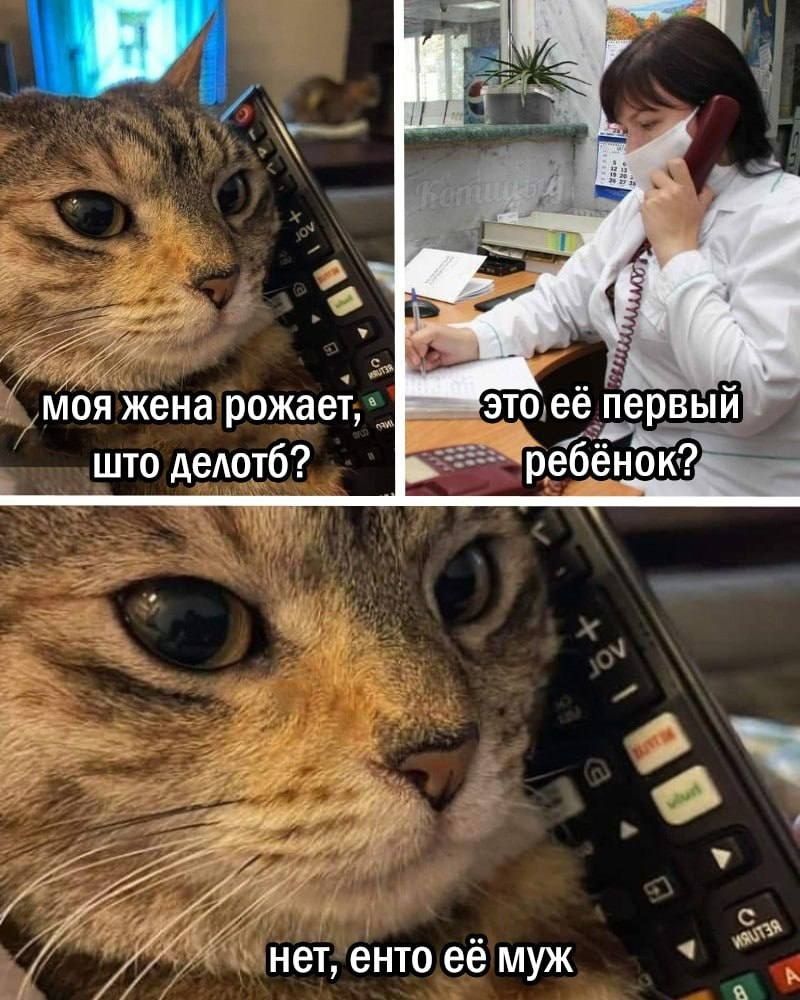 моя жена рожает, что делотб? это её первый ребёнок? нет, енто её муж