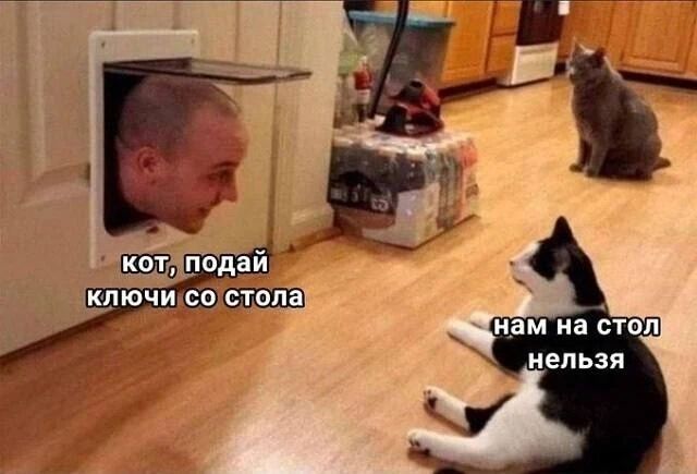 кот, подай ключи со стола нам на стол нельзя