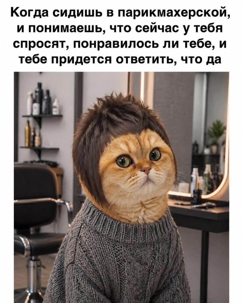 Когда сидишь в парикмахерской, и понимаешь, что сейчас у тебя спросят, понравилось ли тебе, и тебе придется ответить, что да