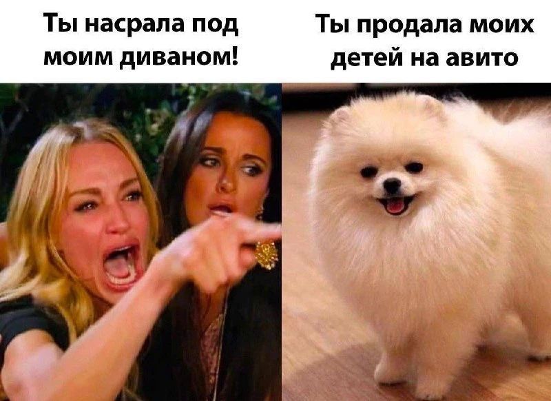 Ты насрала под моим диваном! Ты продала моих детей на авито