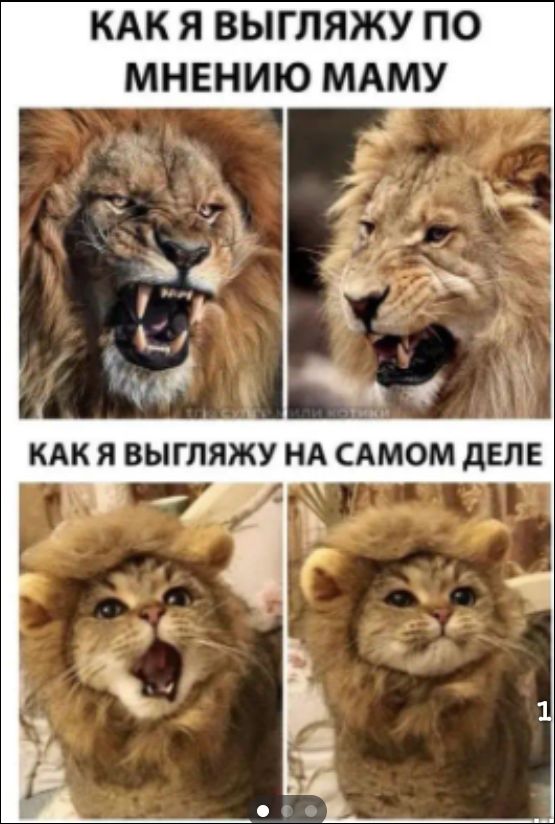 КАК Я ВЫГЛЯЖУ ПО МНЕНИЮ МАМЫ КАК Я ВЫГЛЯЖУ НА САМОМ ДЕЛЕ
