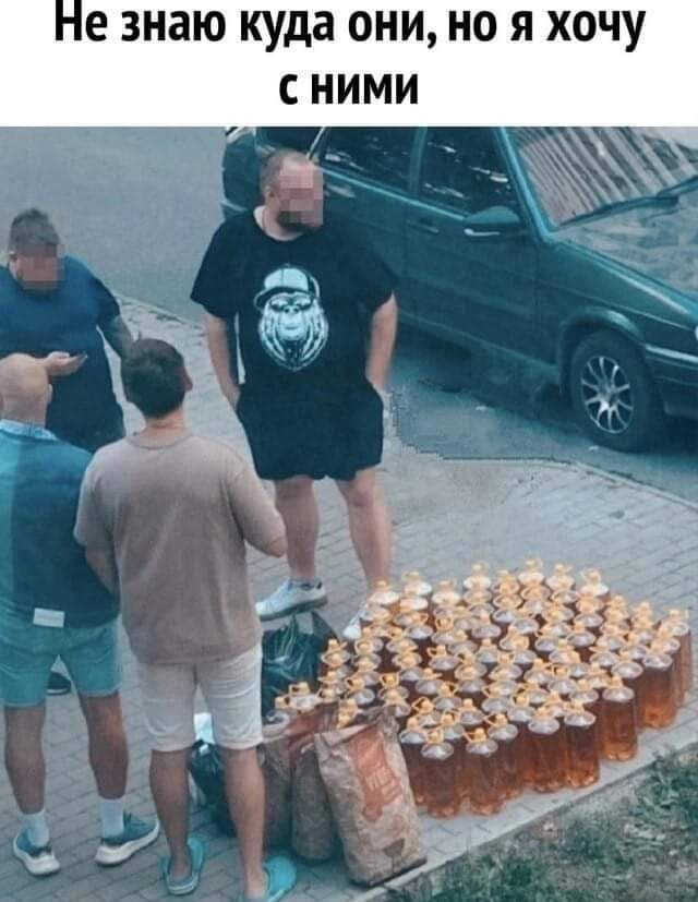 Не знаю куда они, но я хочу с ними