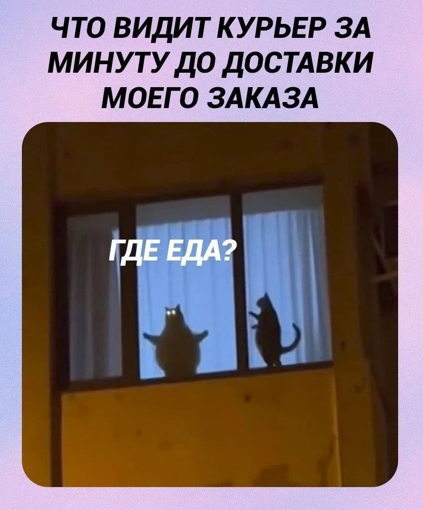 ЧТО ВИДИТ КУРЬЕР ЗА МИНУТУ ДО ДОСТАВКИ МОЕГО ЗАКАЗА ГДЕ ЕДА?