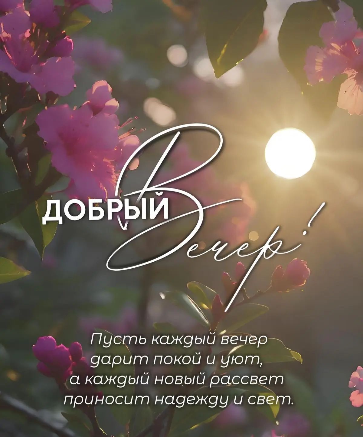 ДОБРЫЙ ВЕЧЕР! Пусть каждый вечер дарит покой и уют, а каждый новый рассвет приносит надежду и свет.