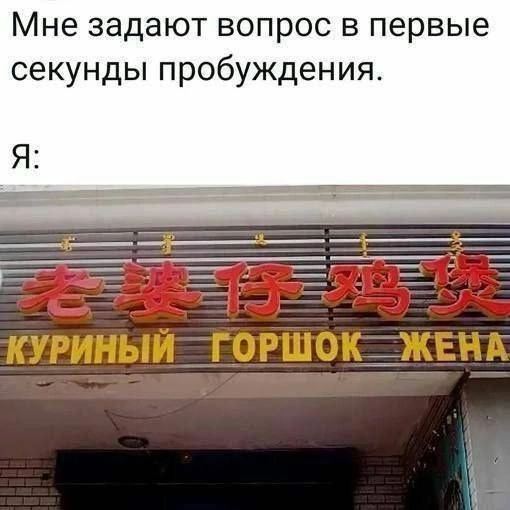 Мне задают вопрос в первые секунды пробуждения. Я: КУРИНЫЙ ГОРШОК ЖЕНА