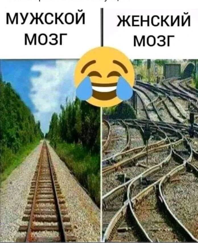 МУЖСКОЙ МОЗГ ЖЕНСКИЙ МОЗГ. На картинке слева прямая железная дорога, справа — множество переплетающихся путей.