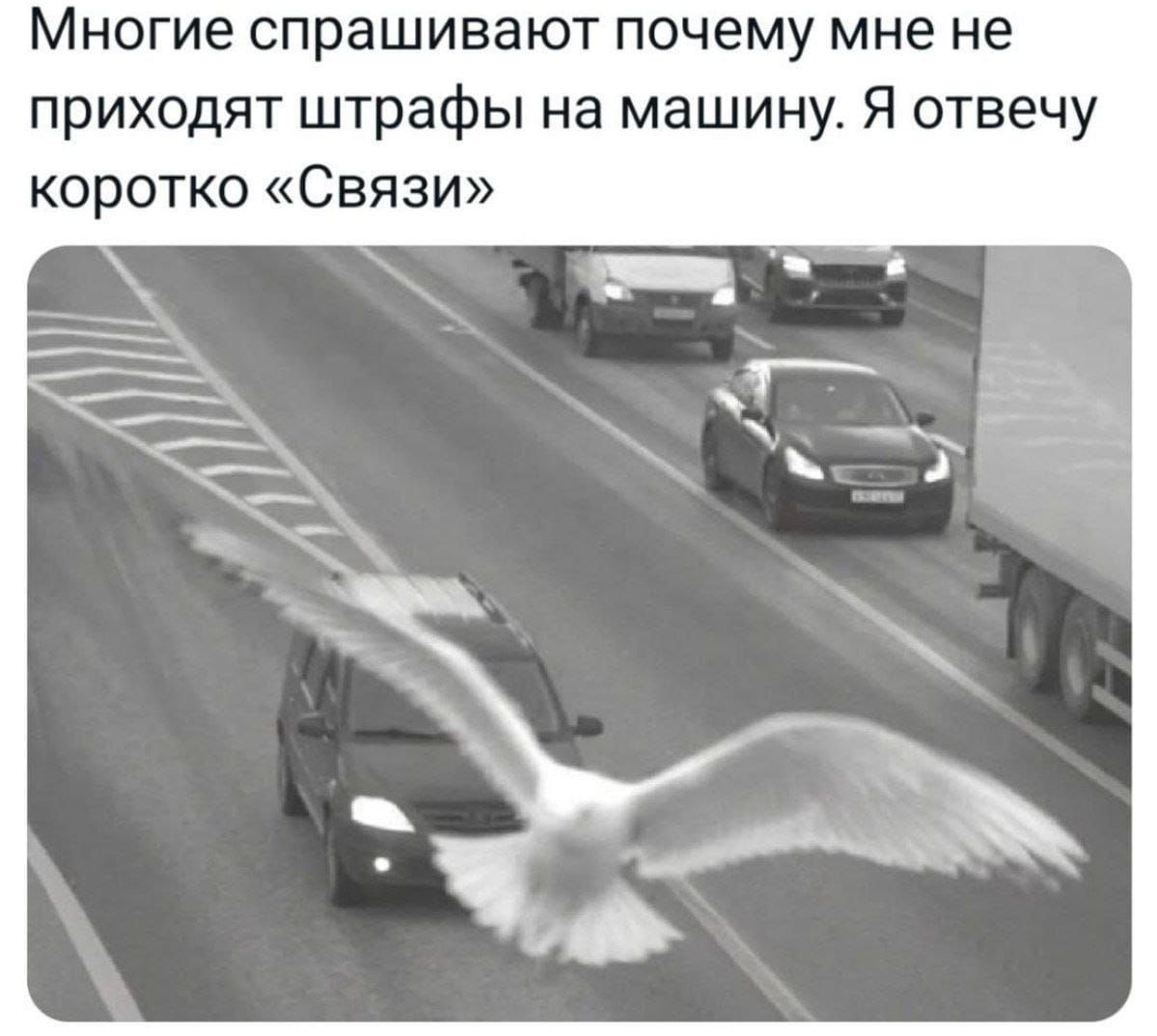 Многие спрашивают почему мне не приходят штрафы на машину. Я отвечу коротко «Связи»